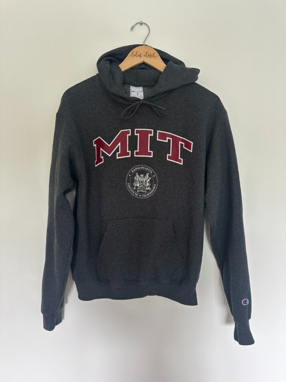 MIT Hoodie Champion Hoodie Sz M Gray Pullover Massachusetts Technology